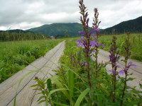 �T���M�L���E�B